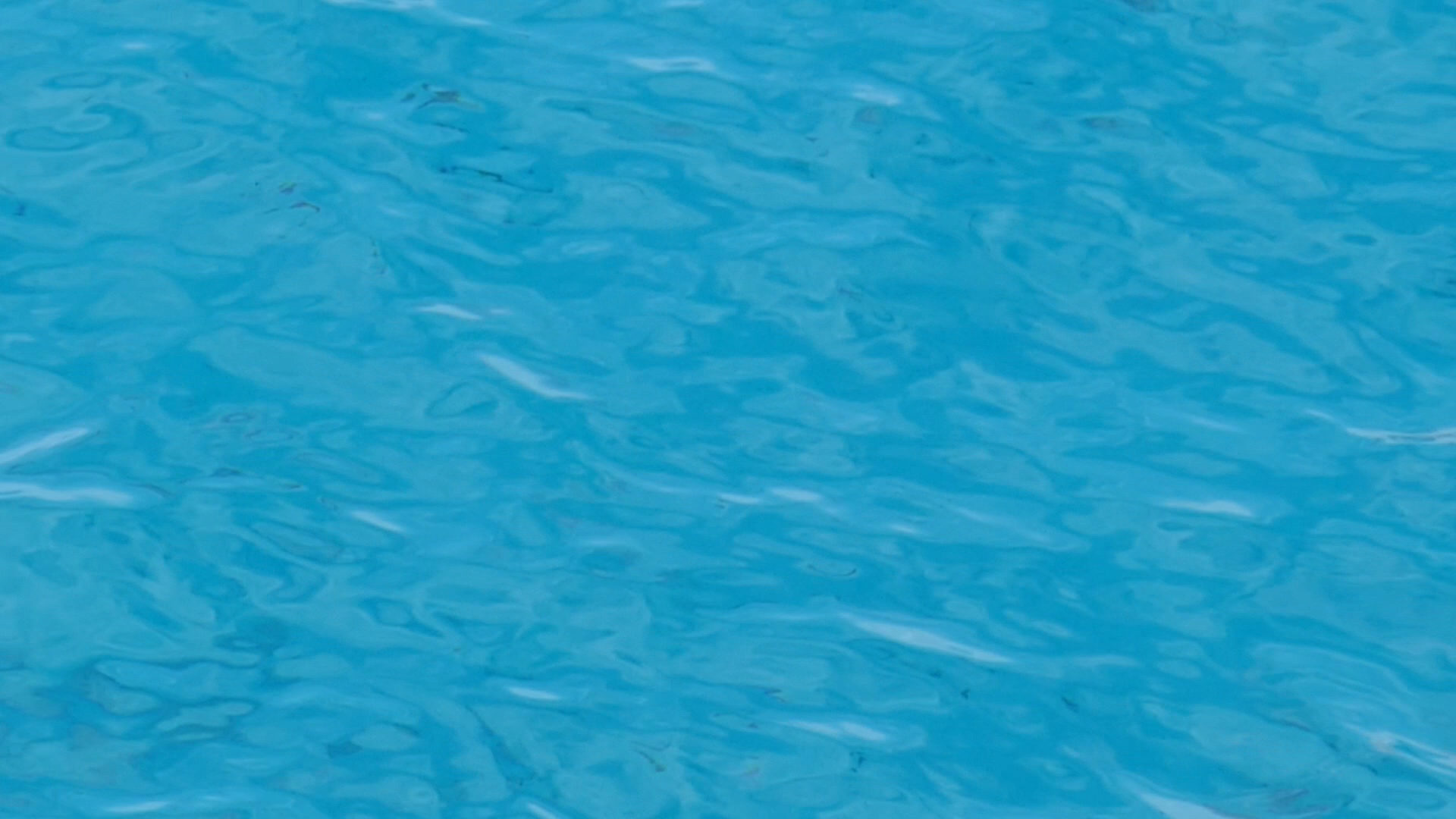 2022-11-09 10 Uhr 01 das Meer (Video, Foto)